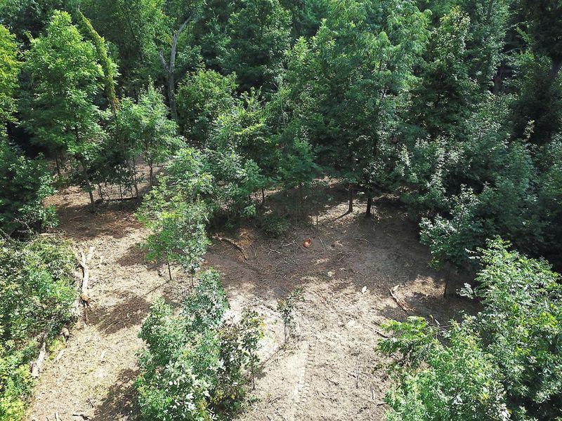 0 N Dean Road, Ostrander, OH 43061 Photo 11