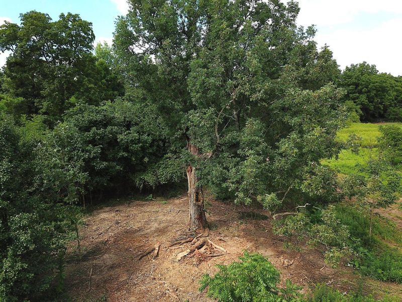 0 N Dean Road, Ostrander, OH 43061 Photo 14