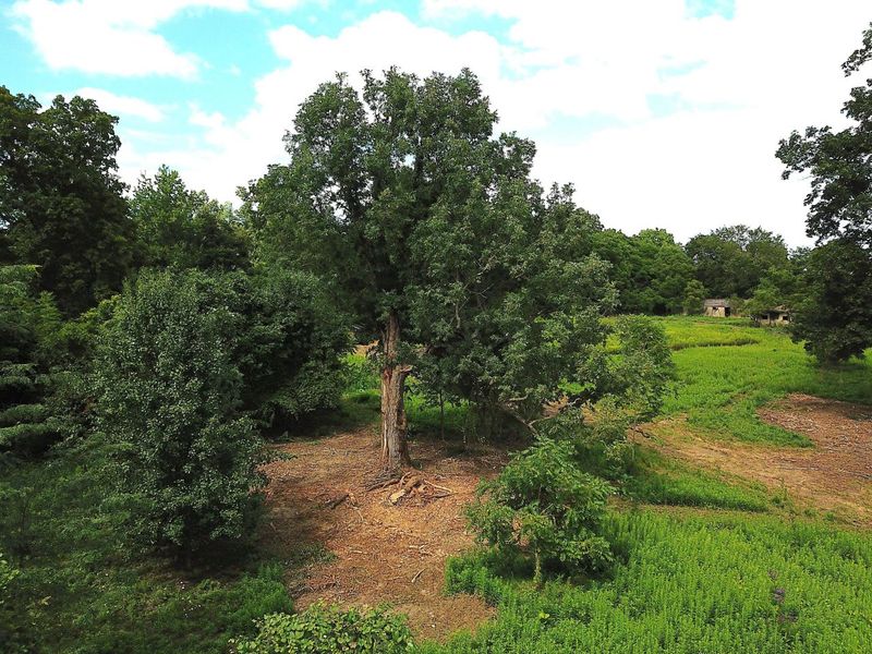 0 N Dean Road, Ostrander, OH 43061 Photo 16