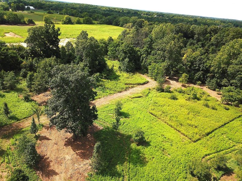 0 N Dean Road, Ostrander, OH 43061 Photo 20