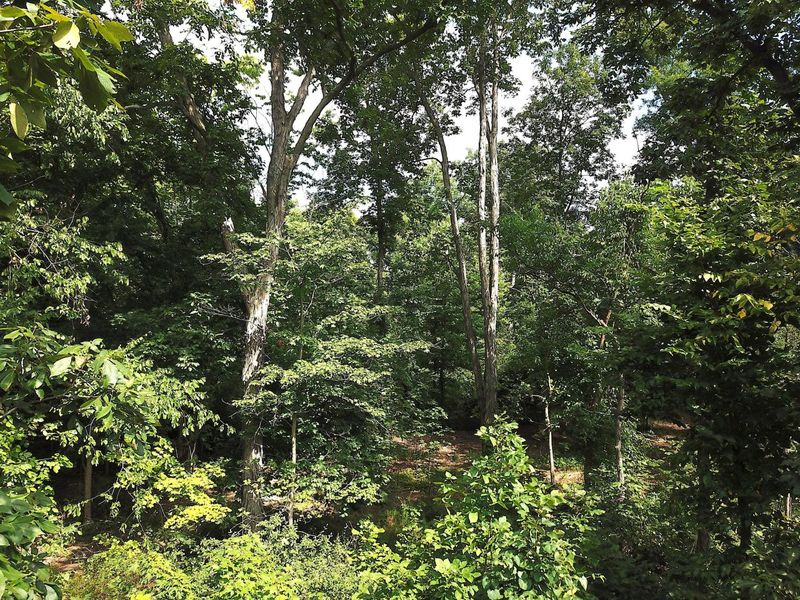 0 N Dean Road, Ostrander, OH 43061 Photo 7