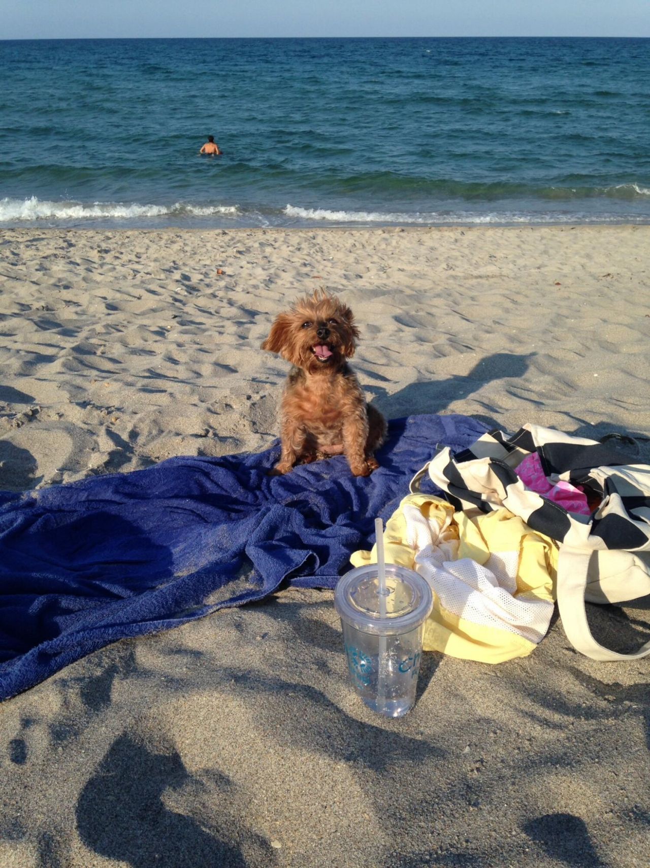 387 Prestwick Lane, Unit #1, Palm Beach Gardens, FL 33418 Photo