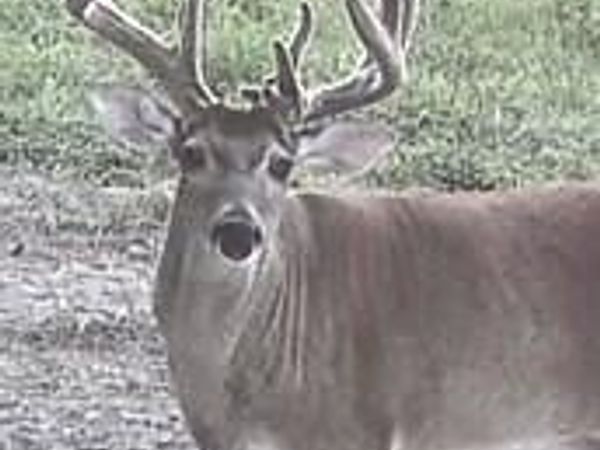 6935 U.S. Highway 175 W, Jacksonville, TX 75766