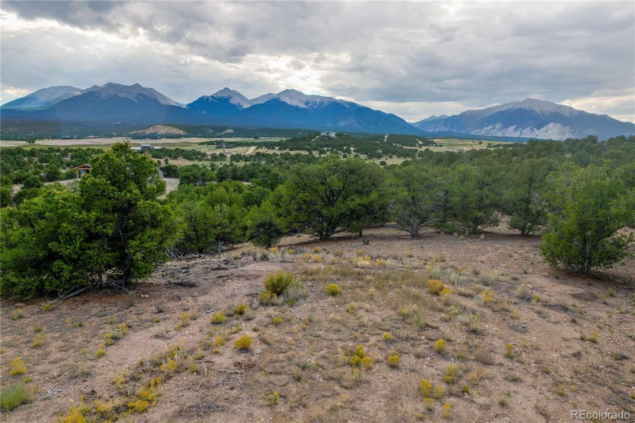10286 Pioneer Trc, Nathrop, CO 81236 Main Photo