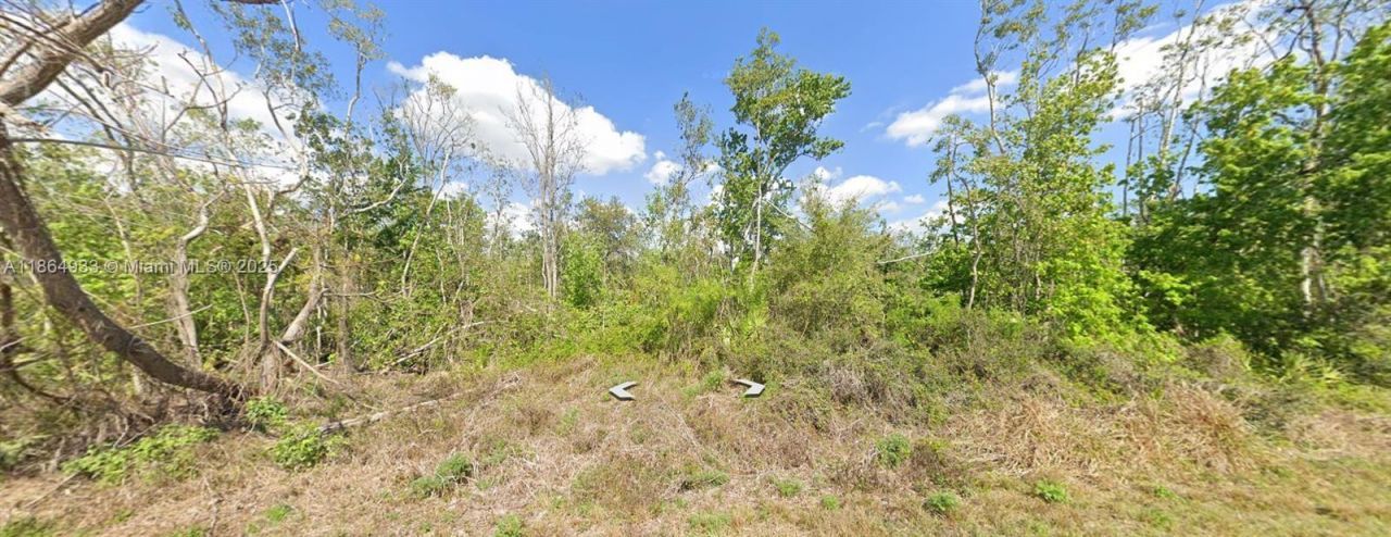 3007 Cacao Rd, Lake Placid, FL 33852 Photo
