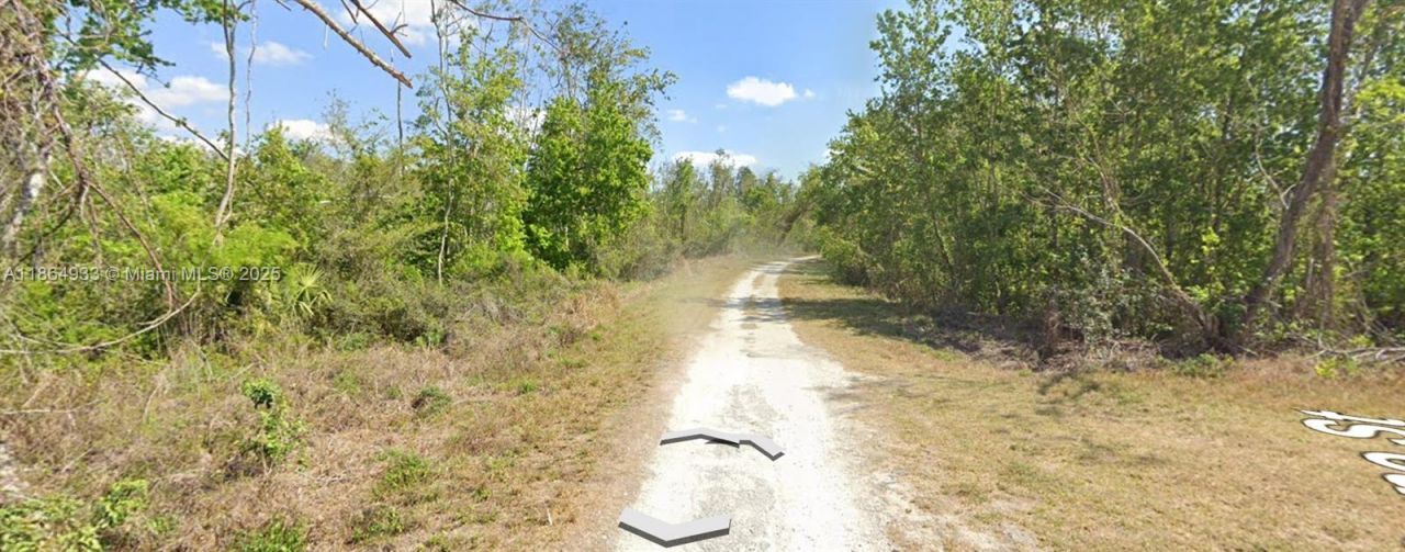 3007 Cacao Rd, Lake Placid, FL 33852 Photo