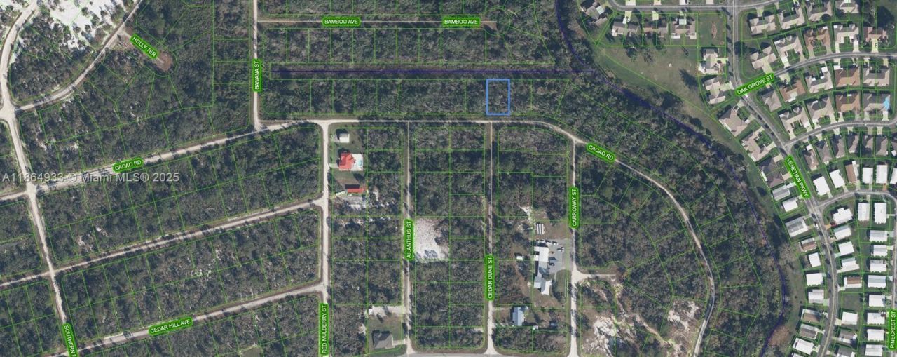 3007 Cacao Rd, Lake Placid, FL 33852 Photo