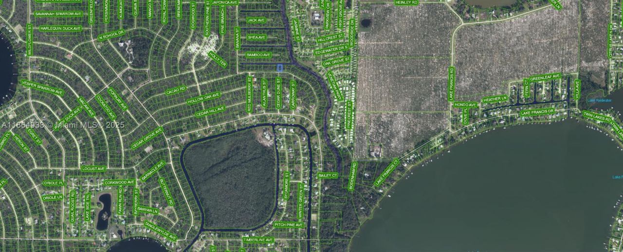 3007 Cacao Rd, Lake Placid, FL 33852 Photo