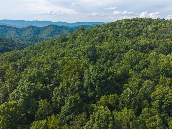 0 Gravely Valley Rd, Eidson, TN 37731