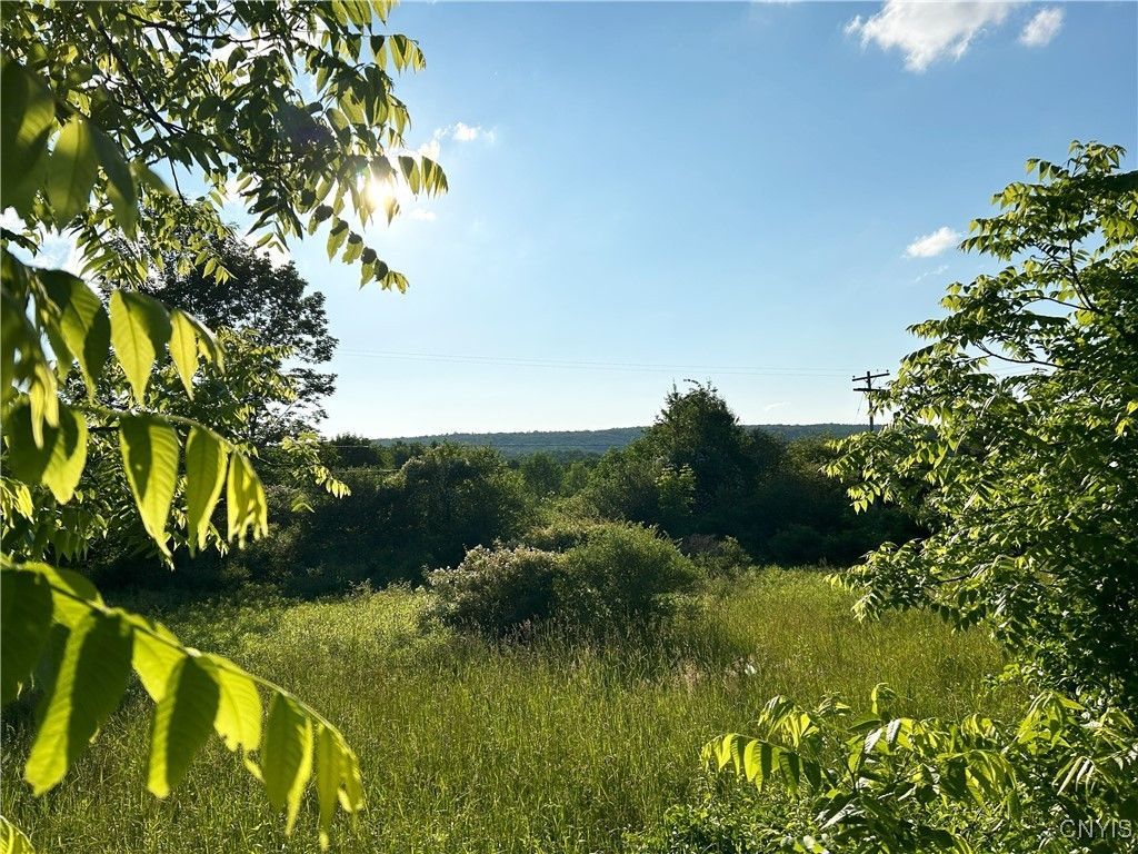 0 Syrian Hill Road, Mc Graw, NY 13101 Main Photo