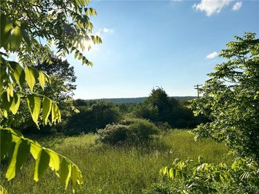 0 Syrian Hill Road, Mc Graw, NY 13101