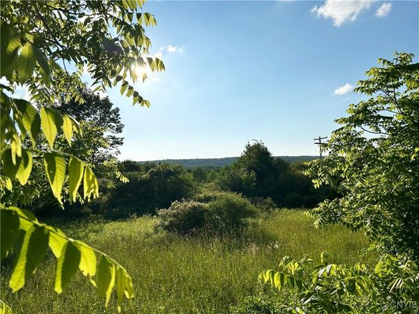 0 Syrian Hill Road, Mc Graw, NY 13101