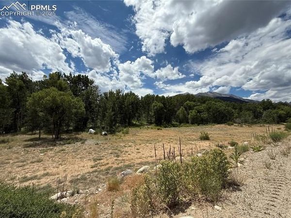17566 Trout Circle, Buena Vista, CO 81211