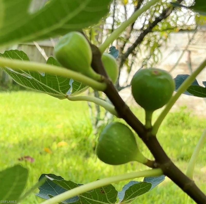 2201 Howard Rd, Labelle, FL 33935 Photo