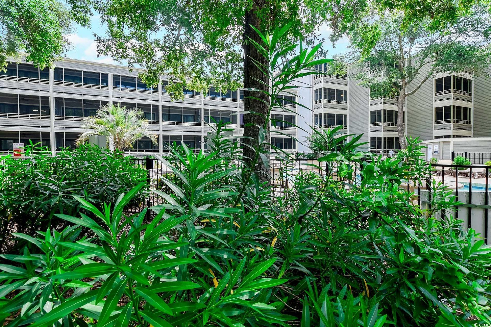 415 Ocean Creek Dr. Photo 45