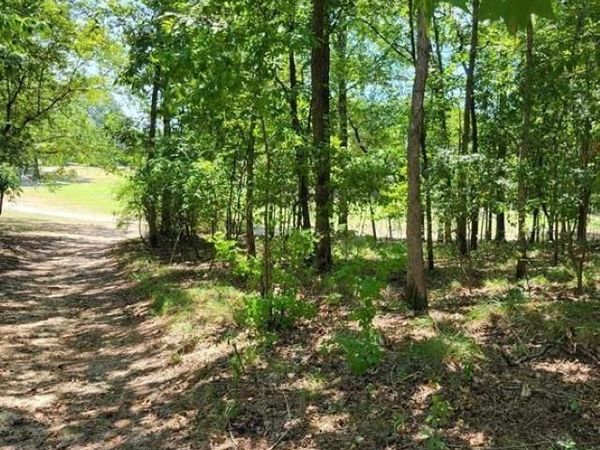 Hot Springs, AR 71913