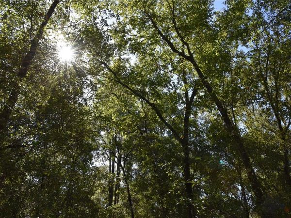 11ST ST, INTERLACHEN, FL 32148