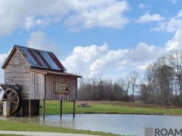 43262 Collyns Cove, Prairieville, LA 70769