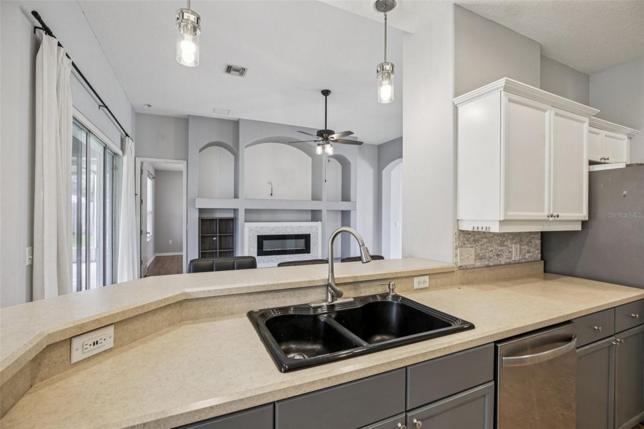 13421 Biscayne Drive, Grand Island, FL 32735 Photo