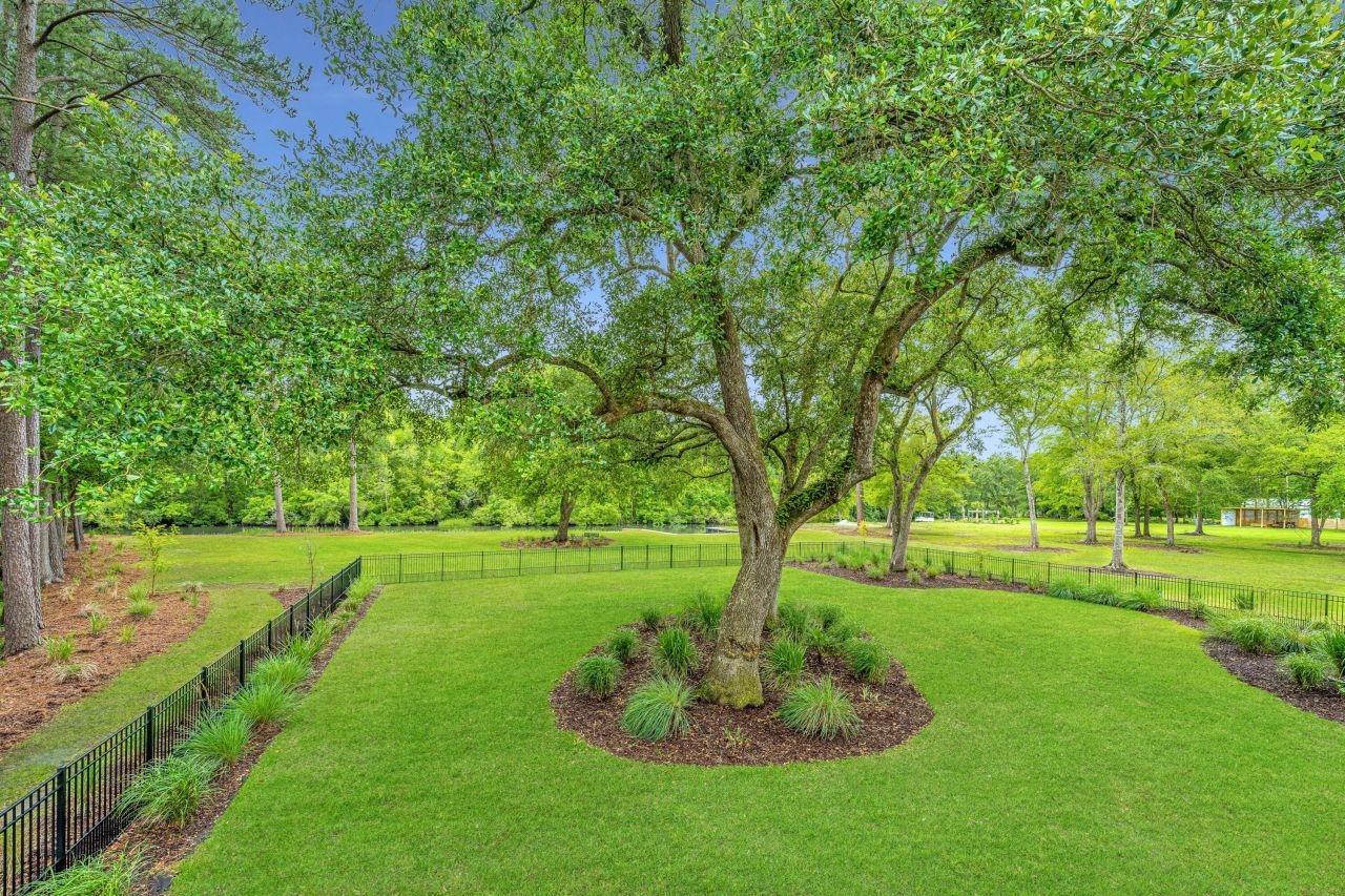 975 Mayfield Street Photo 61