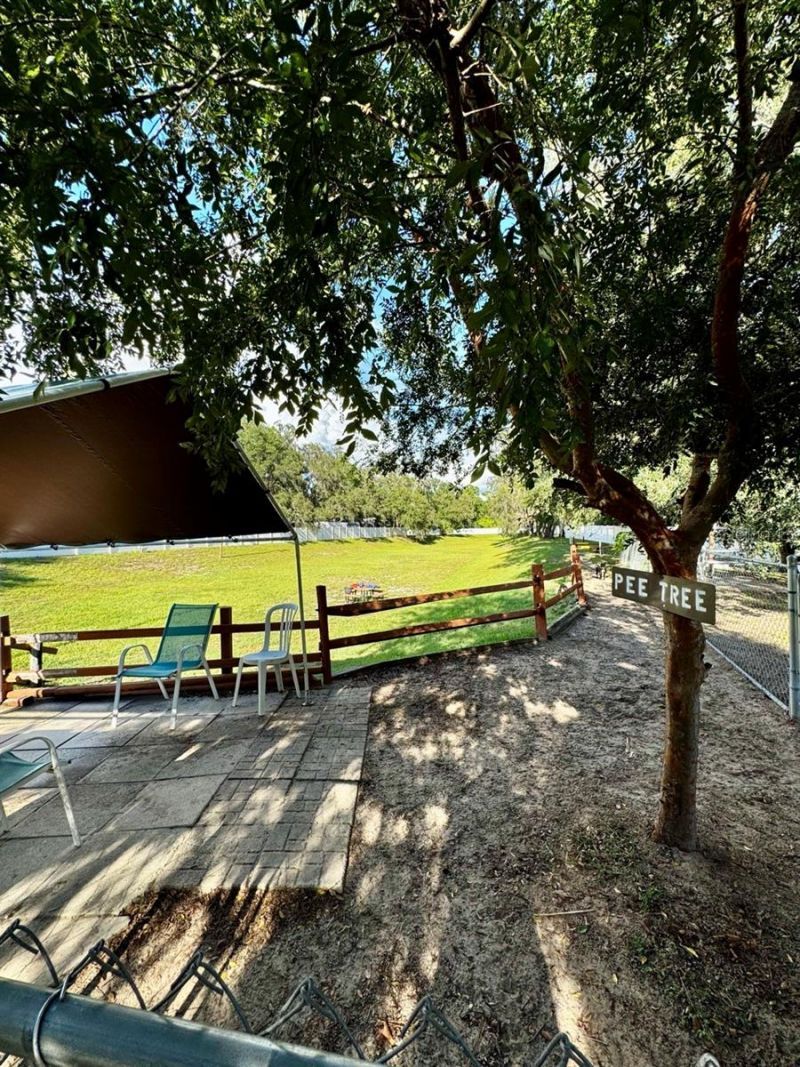 14365 NE 252nd Court Road, Unit 123, Salt Springs, FL 32134 Photo