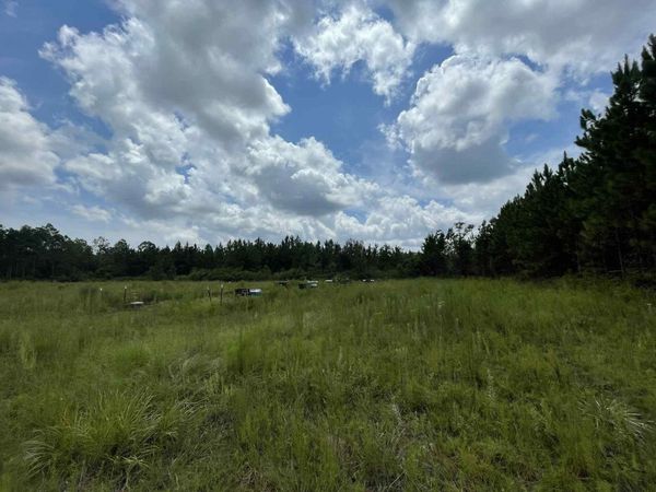 XX Otter Creek Road, Sopchoppy, FL 32358