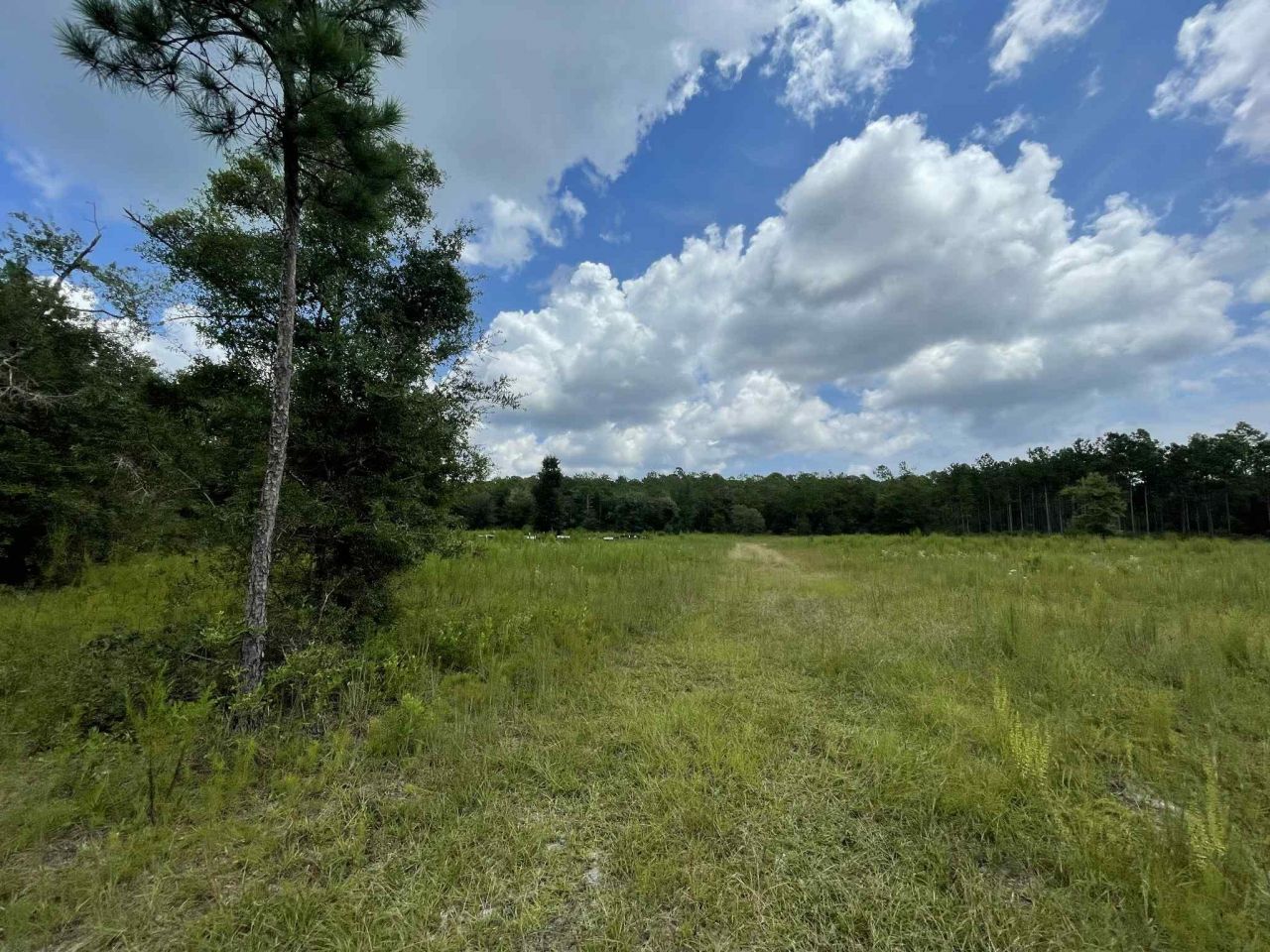 Xx Otter Creek Road, Sopchoppy, FL 32358 Photo