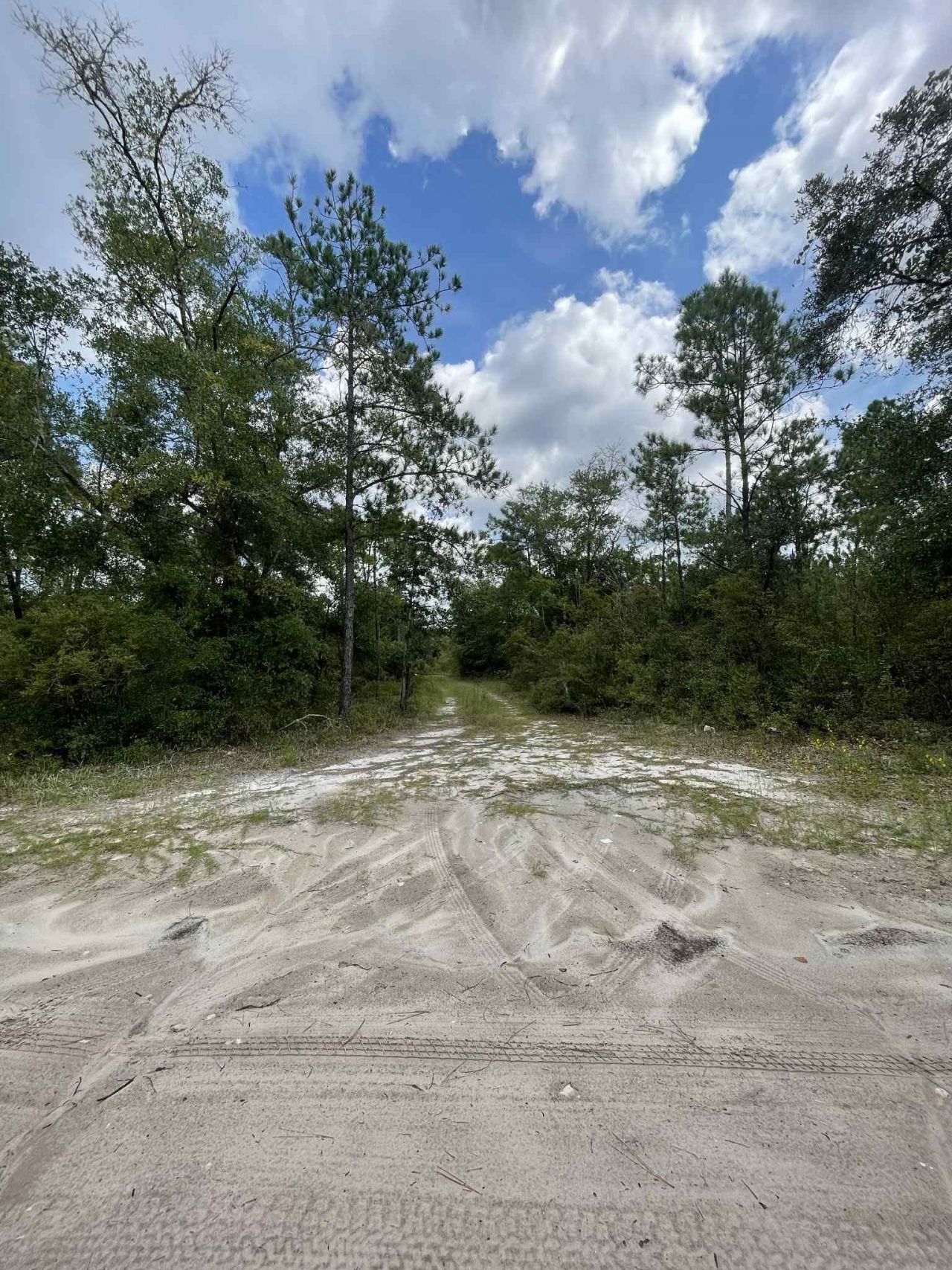 Xx Otter Creek Road, Sopchoppy, FL 32358 Photo