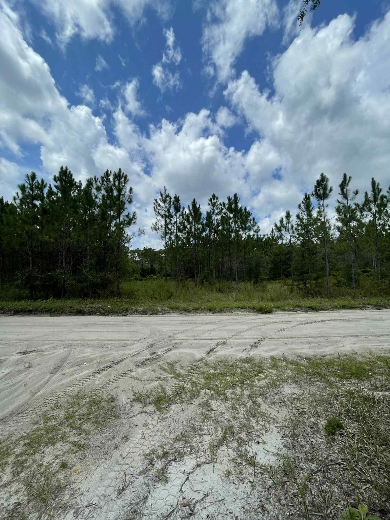 Xx Otter Creek Road, Sopchoppy, FL 32358 Photo