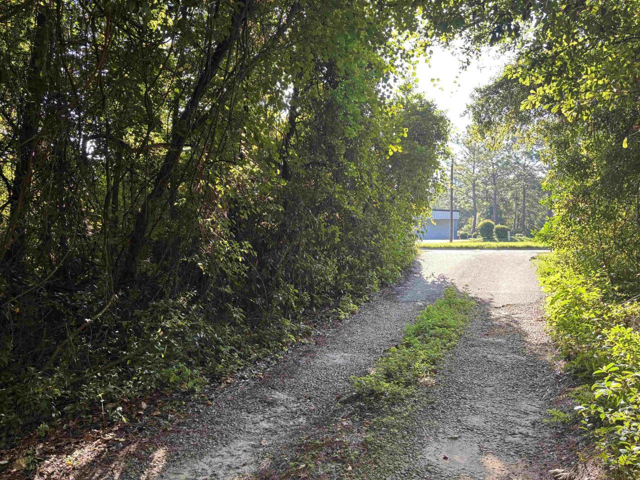 0 Crawfordville Road, Tallahassee, FL 32305 Photo