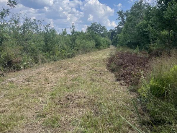 TBD George Boutwell, Ovett, MS 39464