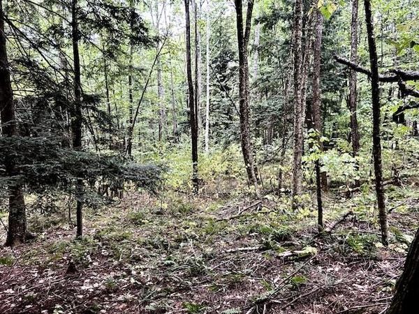 Bradley Hill Road, Unit 1, Haverhill, NH 03785