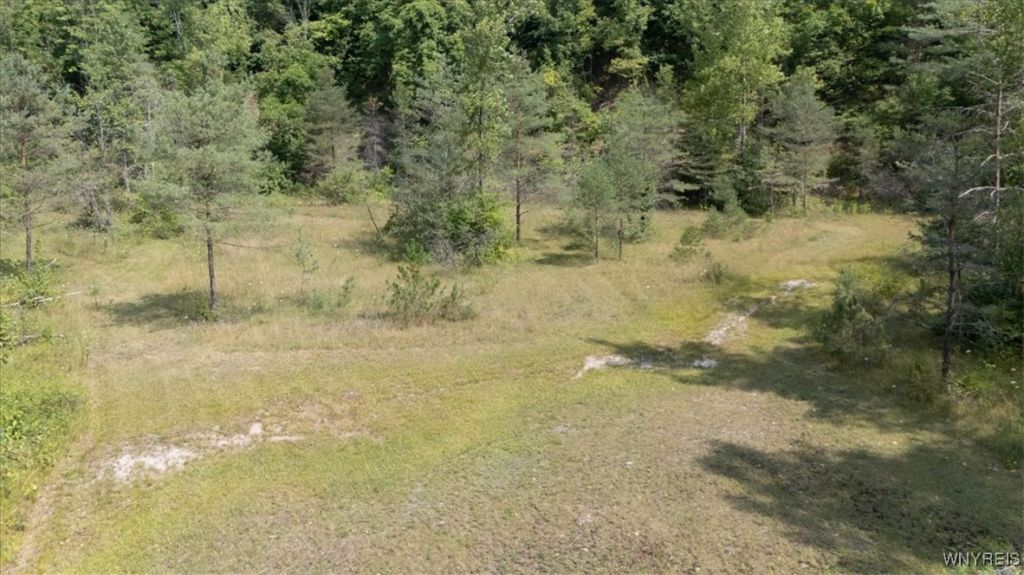 Vl 20.2, 21, 23 Knapp Road, Colden, NY 14033 Main Photo