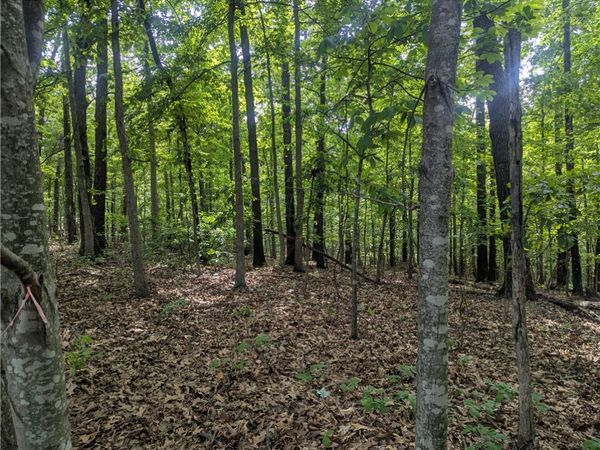 12 Selkirk Circle, Bella Vista, AR 72715