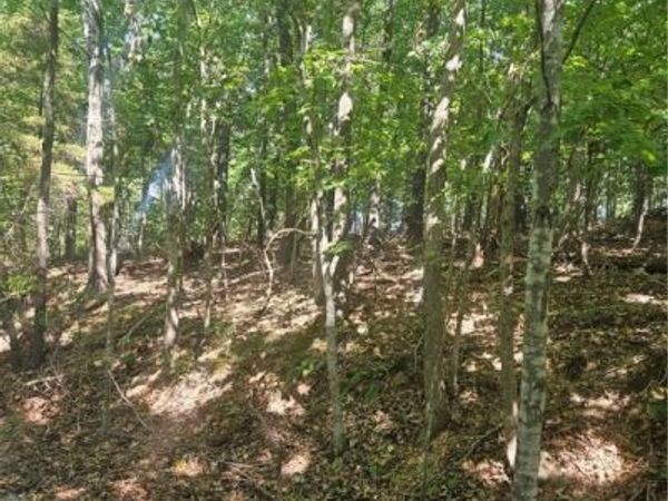 Selkirk Circle, Bella Vista, AR 72715