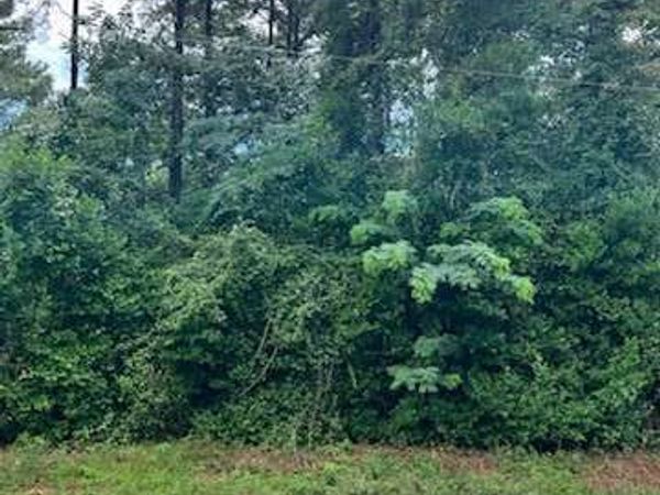 0 N Spring Creek Circle, Cobb, GA 31735