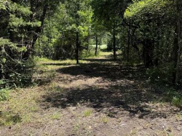 310 W Cardinal Street, Ector, TX 75439