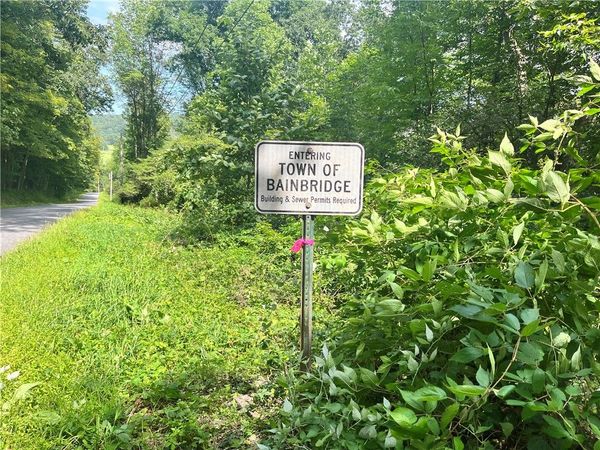 0 Chase Road, Bainbridge, NY 13730