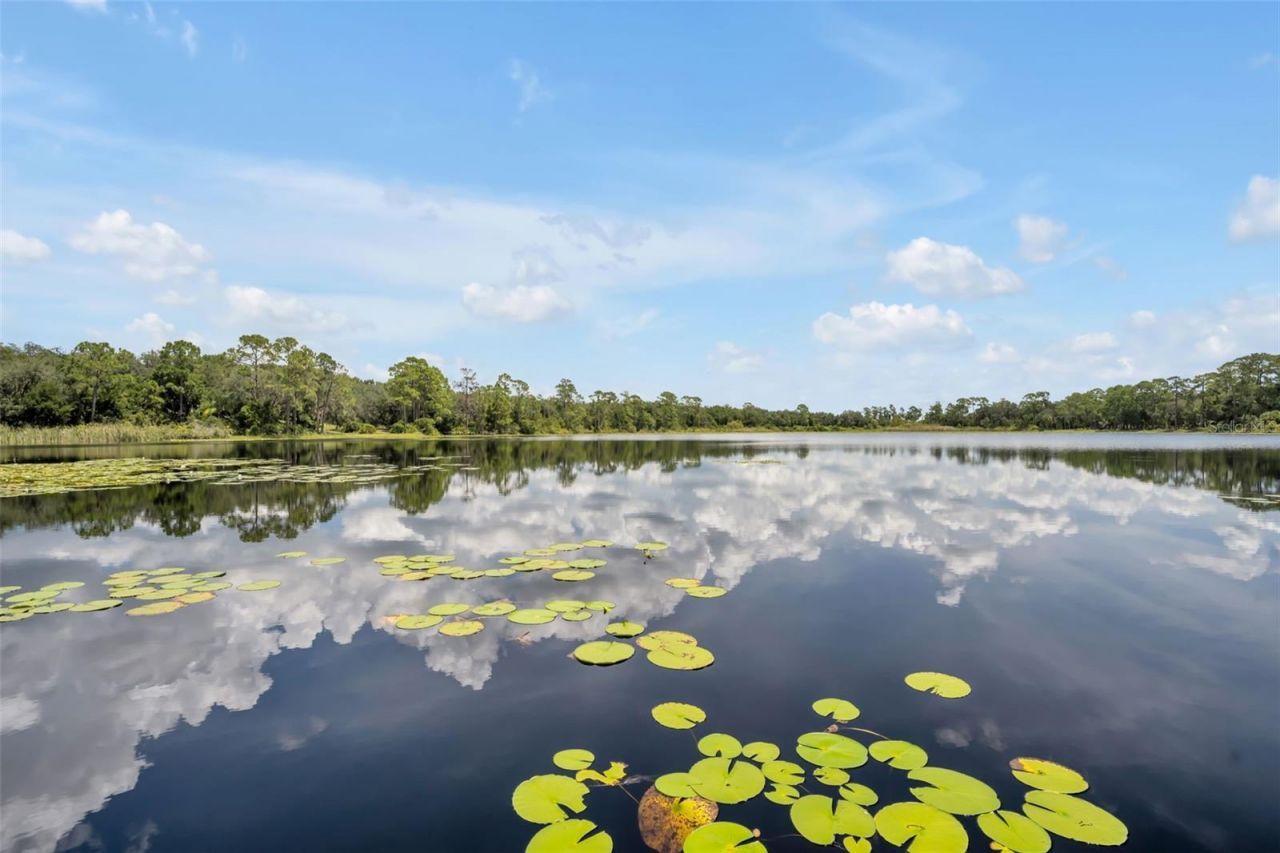 105 Saxon Boulevard, Deltona, FL 32725 Photo