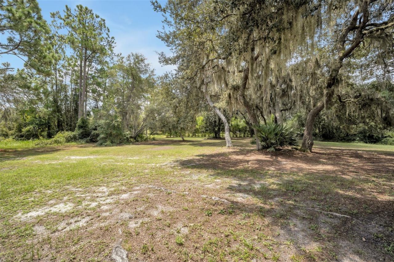 105 Saxon Boulevard, Deltona, FL 32725 Photo