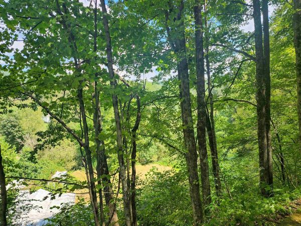 166 Brown Road, Wallace, WV 26448