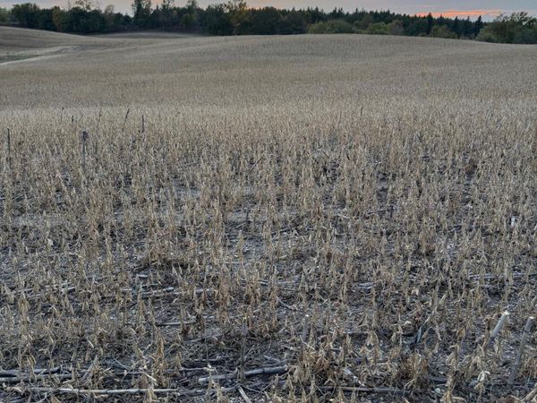 TBD Placid Drive, Dent, MN 56528