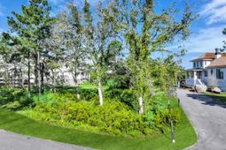 1003 Basin Lane photo 4