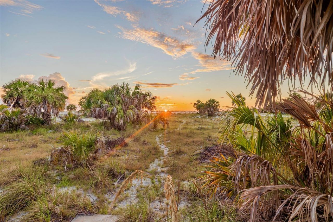 1024 Eldorado Avenue, Clearwater Beach, FL 33767 Photo