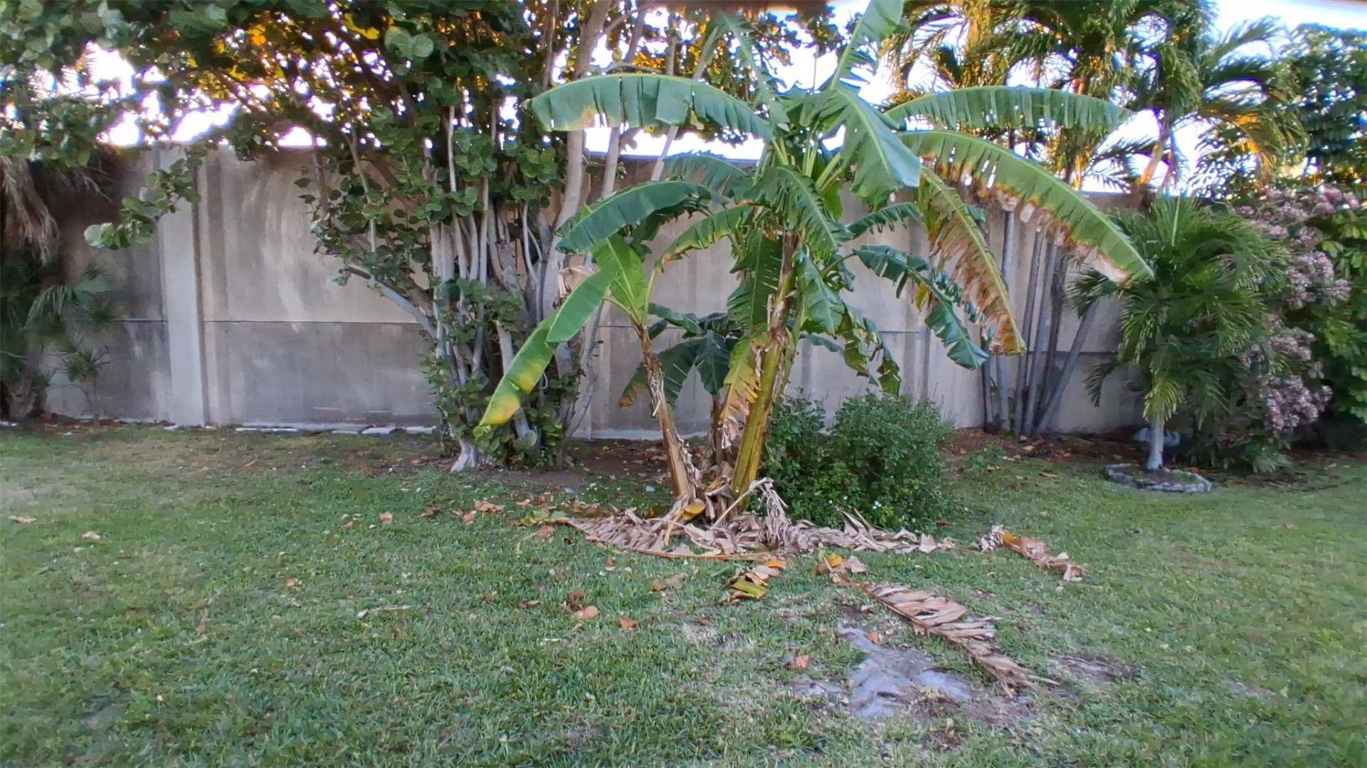 3021 NW 2nd Avenue, Pompano Beach, FL 33064 Photo