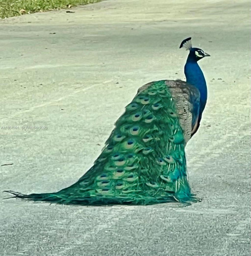 17625 SW 91st Ave., Palmetto Bay, FL 33157 Photo