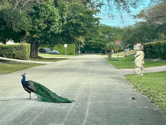 17625 SW 91st Ave., Palmetto Bay, FL 33157 Photo