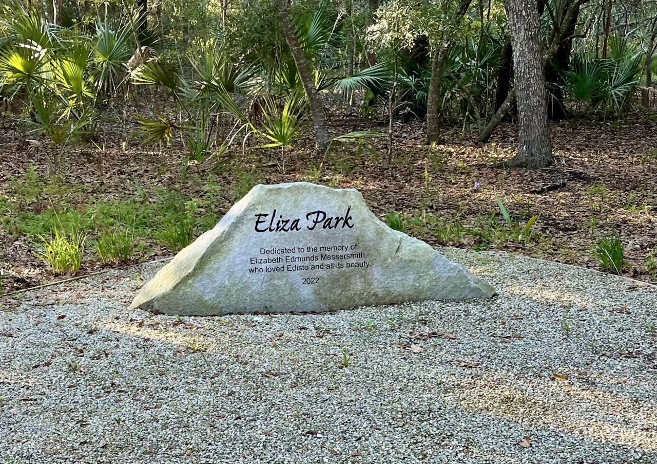 861 Edding Creek Drive Photo 47