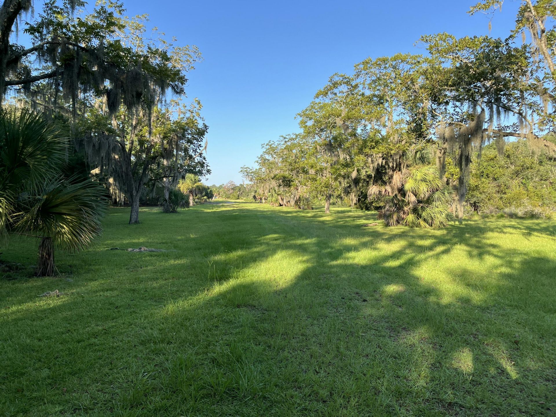 861 Edding Creek Drive Photo 49
