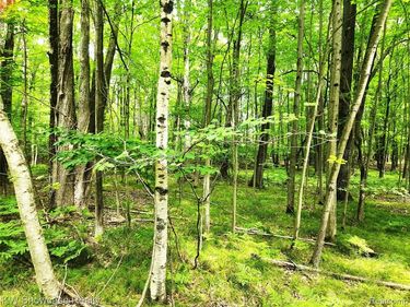 000 Red Fox Run, Clare, MI 48622